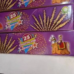 25 SHOT RAIDER