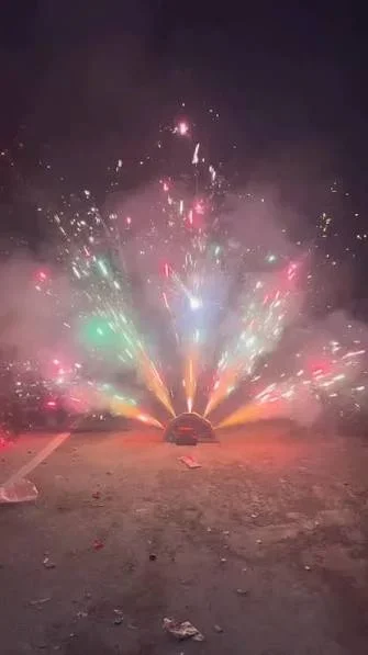 PEACOCK BADA