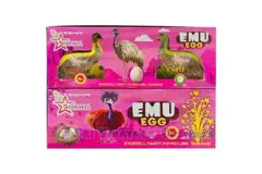 Emu Egg