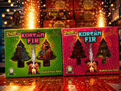 Korean Fir (2pcs Shower)