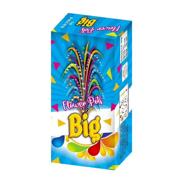 FLOWER POT BIG 10 PCS
