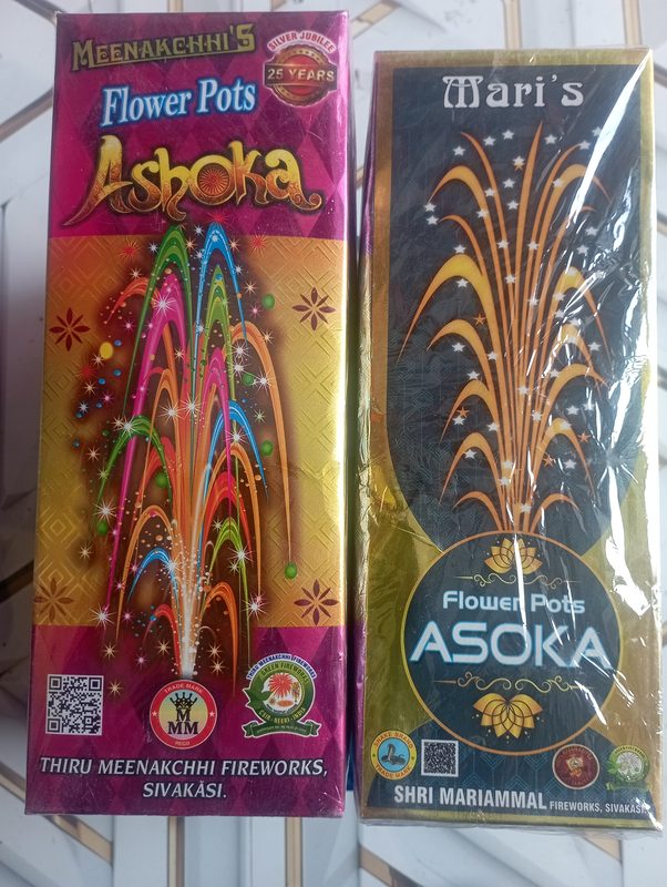 Flower Pots Asoka