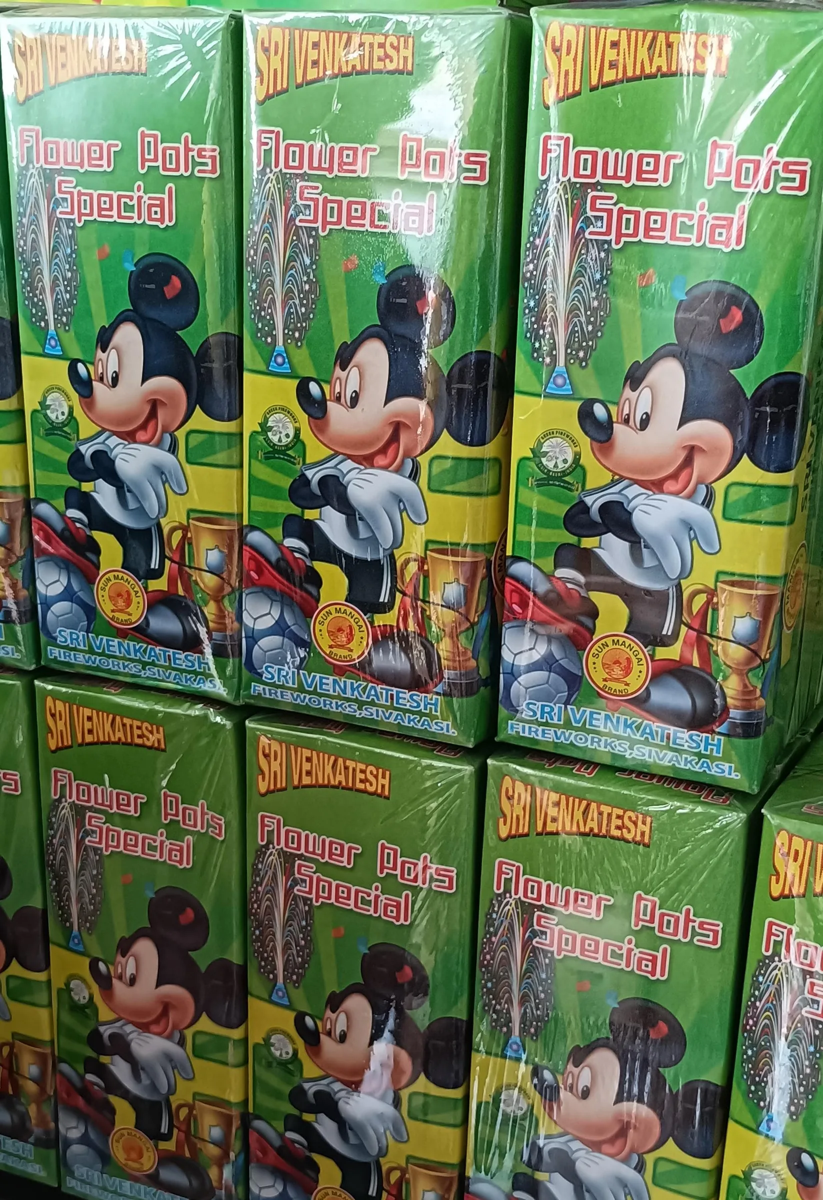 Flower Pots Special (10pcs)