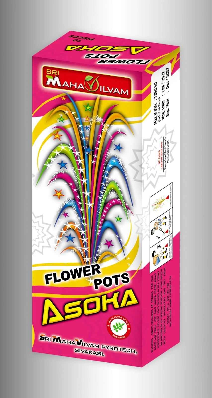 Flower Pots Asoka