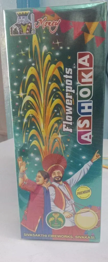 Flower Pot Ashoka (10 Pcs)