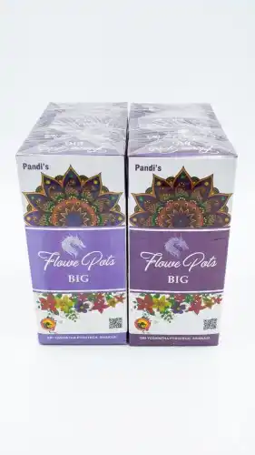 FLOWER POTS