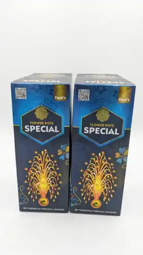 Pots Special (10 Pcs)
